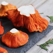 Lobster Mushroom