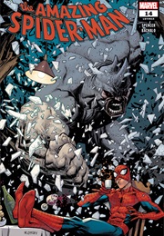 The Amazing Spider-Man #14 (Nick Spencer & Chris Bachalo)