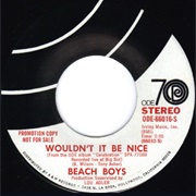 #1053 Wouldn't It Be Nice by the Beach Boys