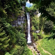 Camili Biosphere Reserve, Turkey