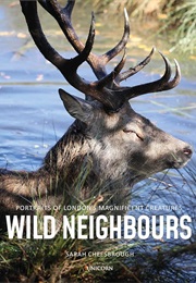 Wild Neighbours (Sarah Cheesbrough)