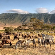 Serengeti Ngorongoro Biosphere Reserve, Tanzania