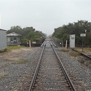 Jubilee (By Sight/Ear - Well)