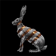 Jackrabbit (San Fermin, 2013)