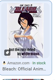 Bleach Official Character Book Vibes (Tite Kubo)