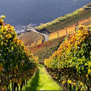 Rotweinwanderweg, Ahrtal