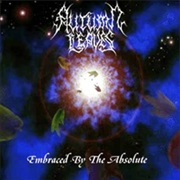 Autumn Leaves - Embraced by the Absolute