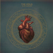 The House She Lived in - The Veils