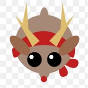 Reindeer