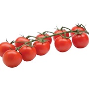 Cherry Tomatoes - Astuto