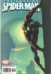 The Amazing Spider-Man #521 (J. Michael Straczynski & Mike Deodato Jr.)