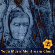 Various Artists - The Yoga Mantra and Chant Project