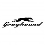 Greyhound