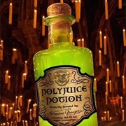 Drink a Polyjuice Potion