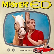 Mister ED (1961-66)