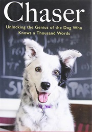 Chaser (Pilley, John)