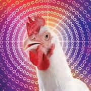 Chicken Song