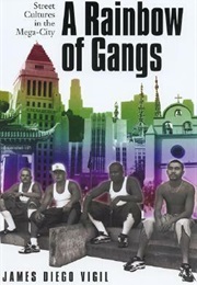 A Rainbow of Gangs: Street Culture in the Mega-City (James Diego Vigil)