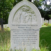 Brusher Mills Grave