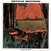 Fiyo on the Bayou - Neville Brothers