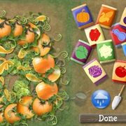 Rabbit's Garden Patch