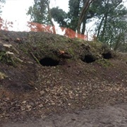 Carnforth Coke Ovens