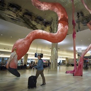 Tampa International Airport Flamingo