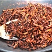 Fried Crickets