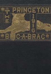 Princeton University. Class of 1916. the Bric-A-Brac. Vol. 40 (Various)