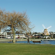 Oak Harbor, Washington (Whidbey Island)