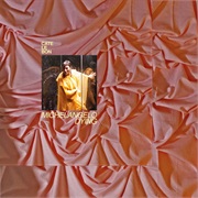 Cate Le Bon - Michelangelo Dying