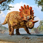 Regaliceratops