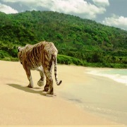 Life of Pi – Richard Parker Leaves