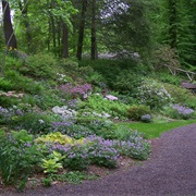 Visit the Garden State's Gardens, New Jersey