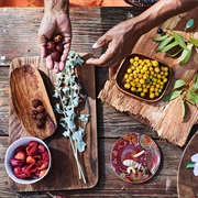 Aboriginal Cuisine (Bush Tucker)