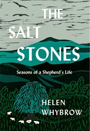 The Salt Stones (Helen Whybrow)