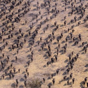 S2.E1: World on the Move