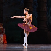 Golden Vine Fairy (Sleeping Beauty)