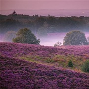 Veluwezoom National Park, Netherlands