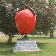 Gay Mills Apple Fest