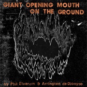 Giant Opening Mouth on the Ground - Phil Elverum & Arrington De Dionyso