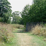 Hangman's Wood