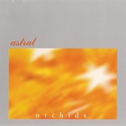 Astral – Orchids