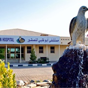Abu Dhabi Falcon Hospital, UAE