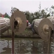 Most Extreme Elimination Challenge: "Hot Chicks of Primetime vs. Hot Celebrity Mommies" (S5,E10)