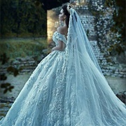 Veil and Wedding Gown in Matching Color