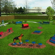Dog Park