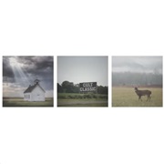 Cult Classic (Nothing,Nowhere., 2024)