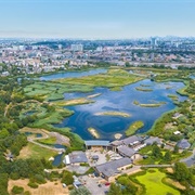 WWT London Wetland Centre