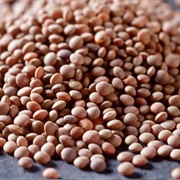 Brown Lentils